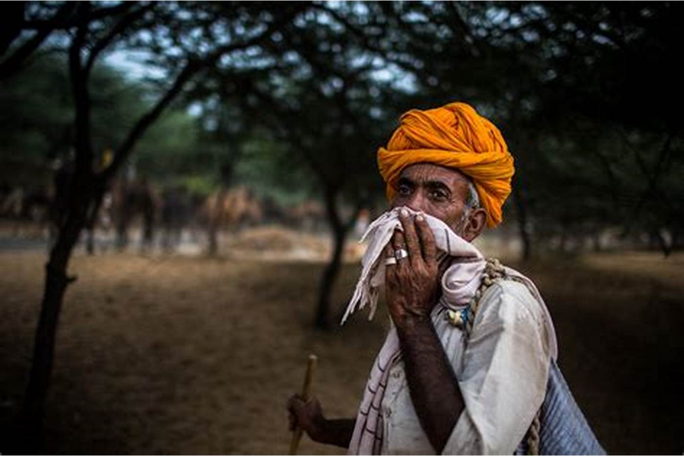 an image of an arab  coffee farmer